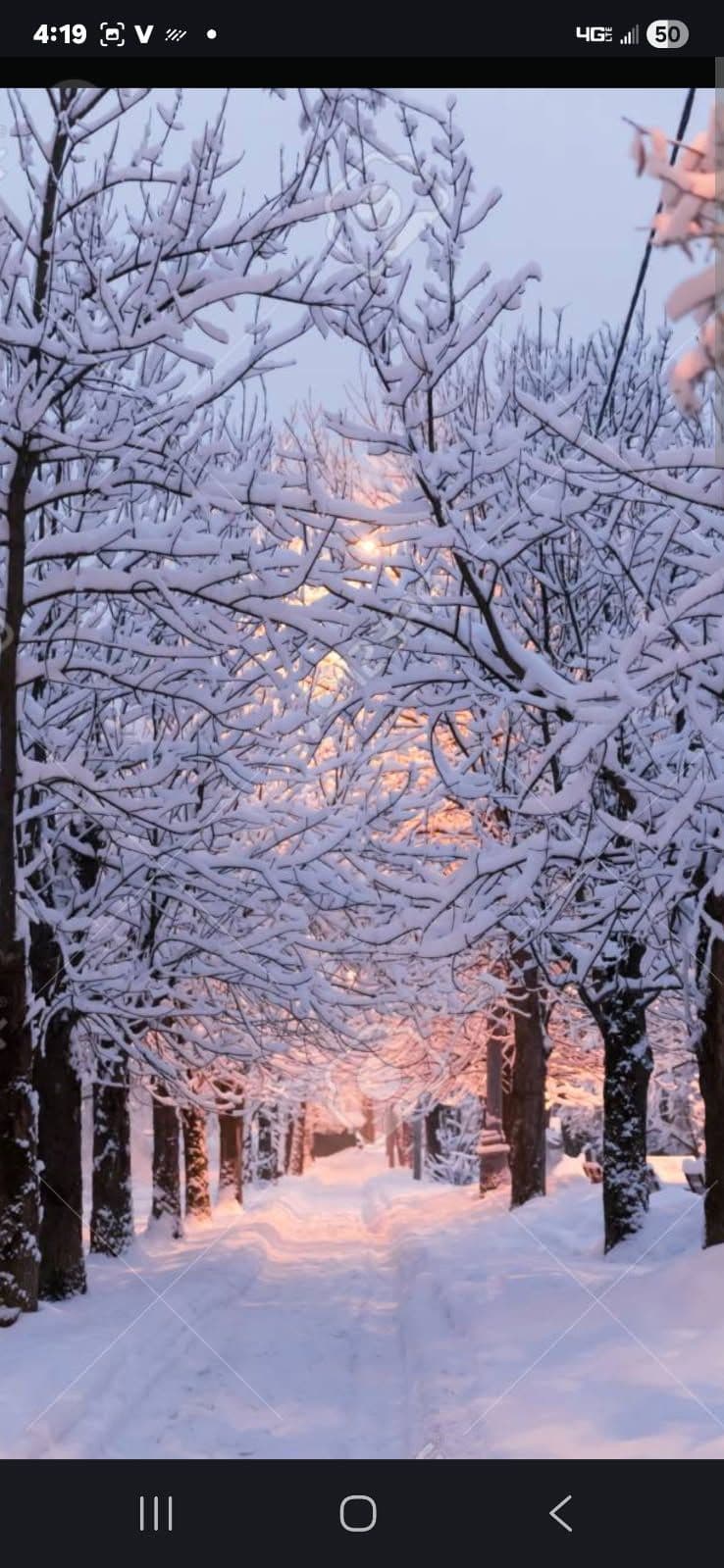 Stay Safe This Winter With Our Expert Snow Removal